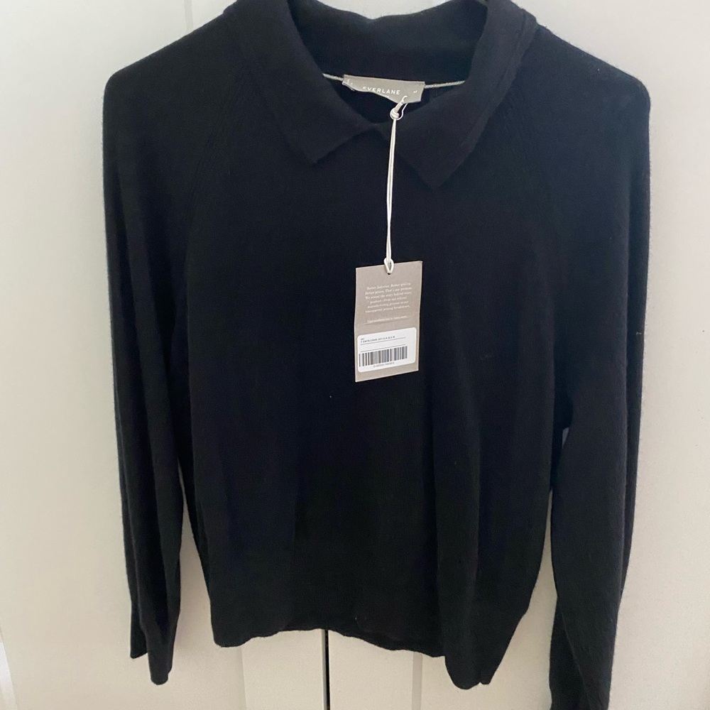 Everlane Cashmere Collared Sweater